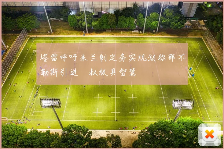 塔雷呼吁米兰制定务实规划称那不勒斯引进囧叔极具智慧
